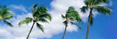 travel